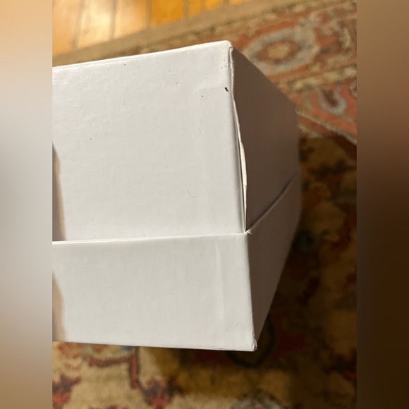 Maryam Nassir Zadeh Dust Bag & Shoe Box - Picture 10 of 13